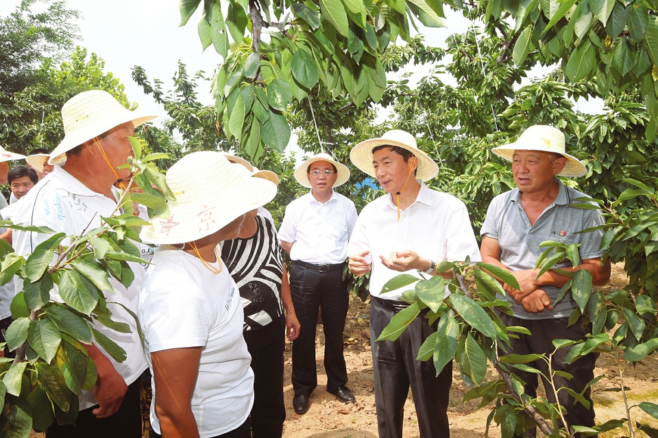 八月一日，省委书记骆惠宁在绛县东录村樱桃大田，与果农亲切交谈。本报记者李联军摄