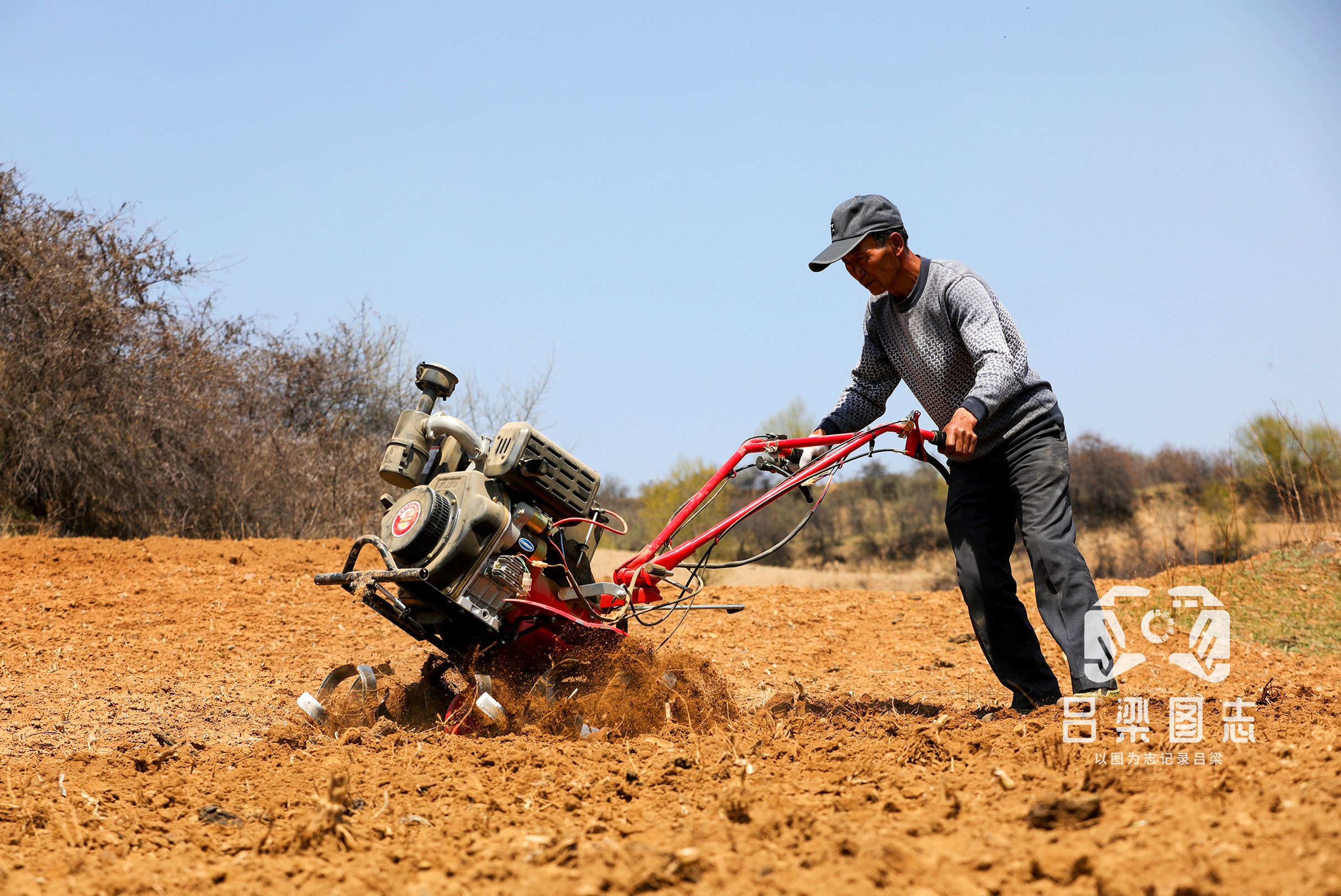 中阳县车鸣峪乡开府村农民正在耕地.刘海霞 摄