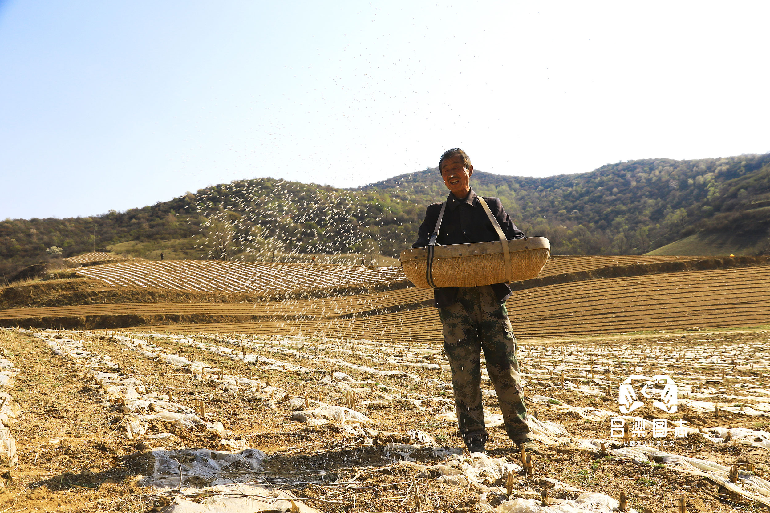 谷雨过后农事忙