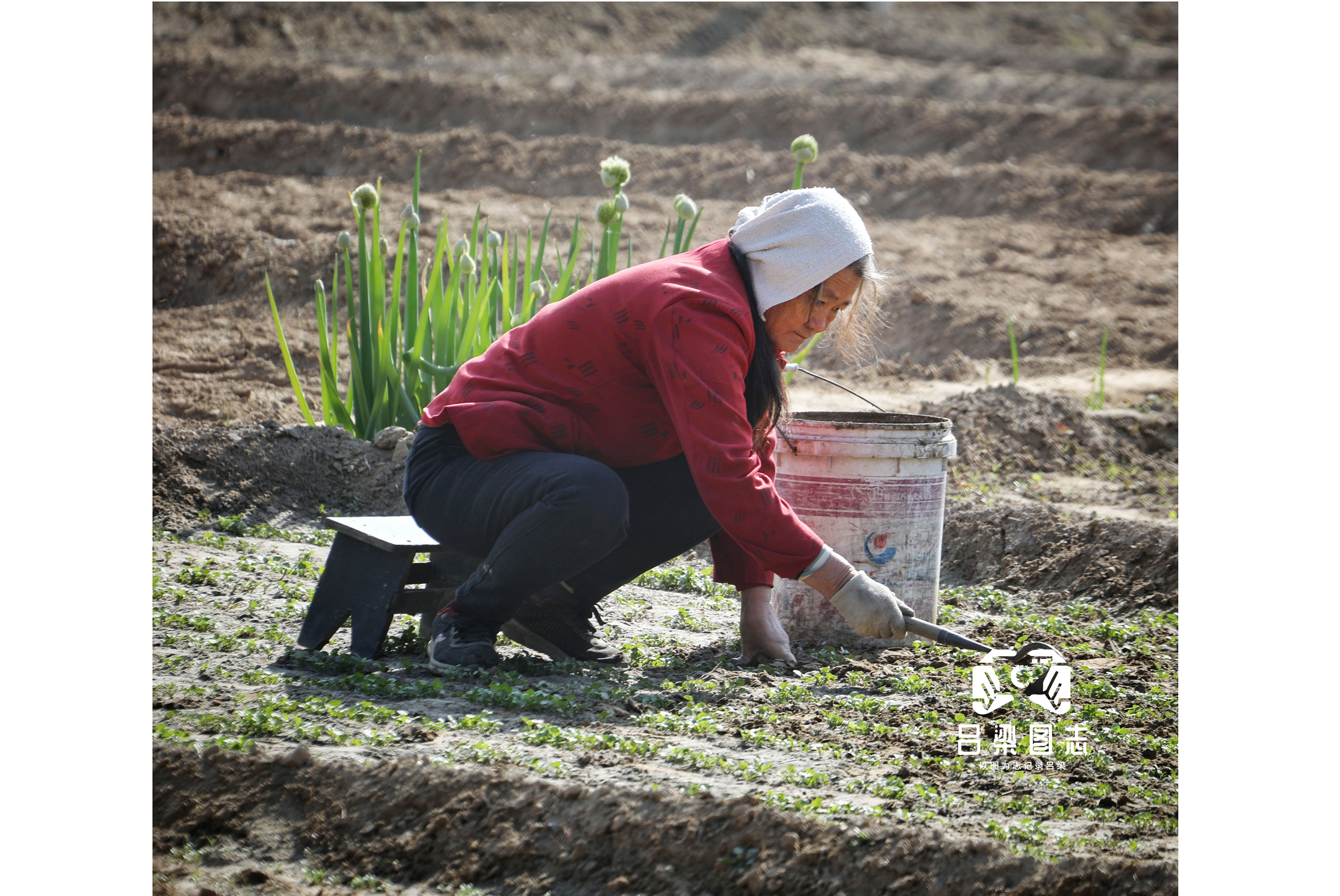 谷雨过后农事忙