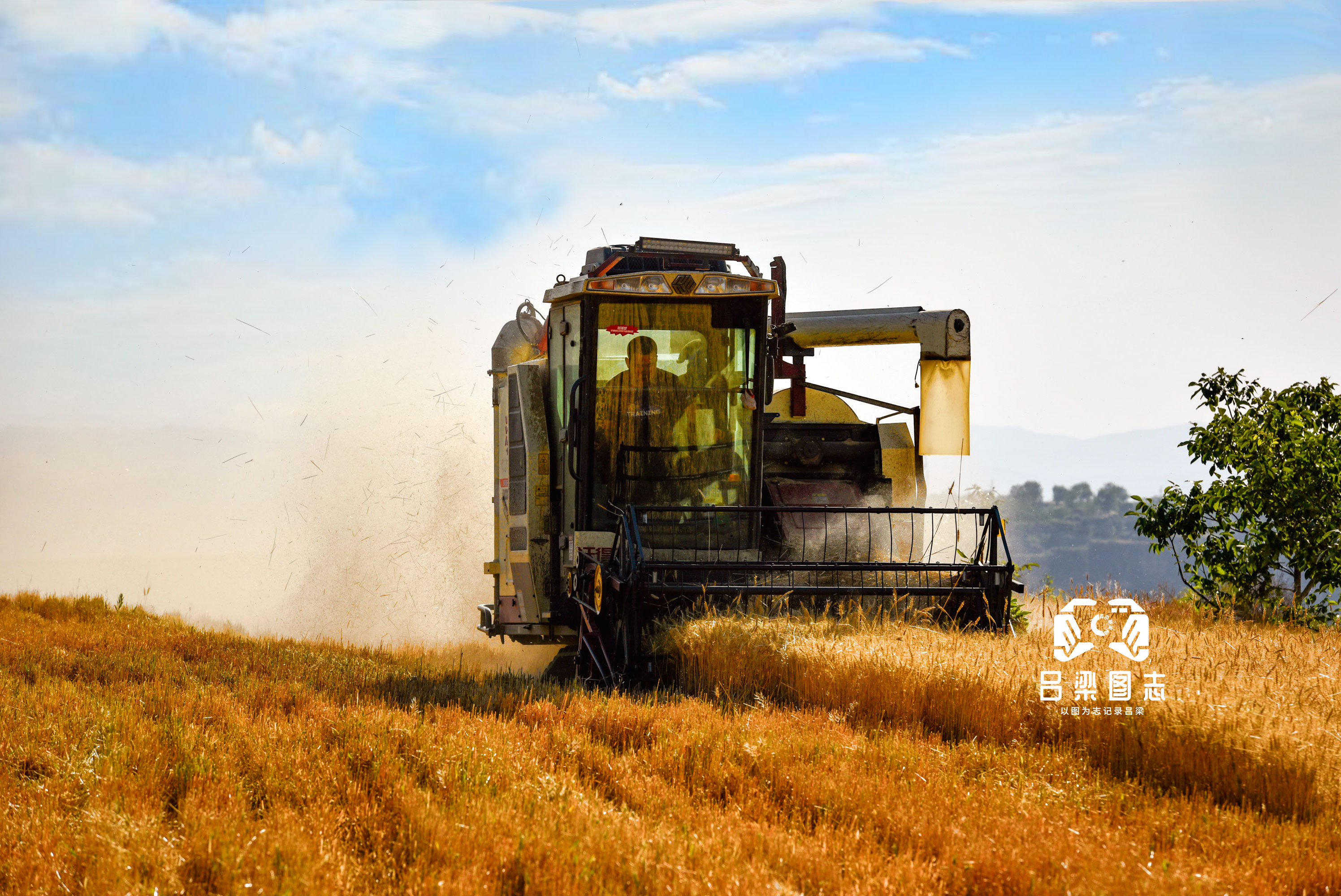 小麦收成好 农民心头乐